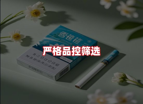 专业团队